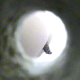 A woman is observed taking a shit in a public restroom through a hole in the wall of the stall next next to hers.